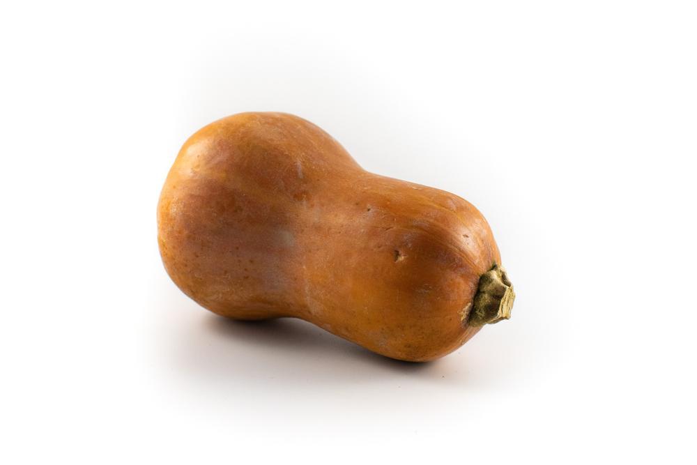 1G Squash 'Honeynut' Honeynut Butternut Squash 1007714