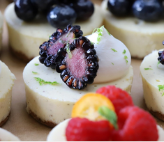 New York Cheesecakes 3" Single Serve Vanilla Bean