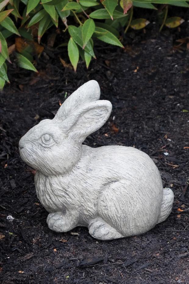 Massarelli's - Baby Rabbit 2142