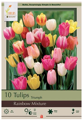 Netherland Bulb Company -  Tulips Rainbow Mixture - 5913911690