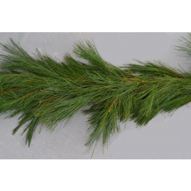 Heavy White Pine Roping By The Yard