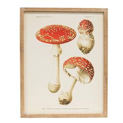 CWI Gifts - Vintage Amanita Muscaria Mushroom Framed Print - G65380