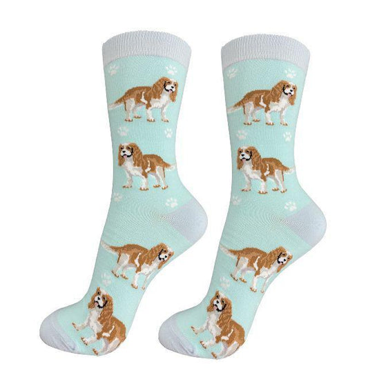 E&S Pets - Cavalier King Charles Full Body Socks 800 FB -18