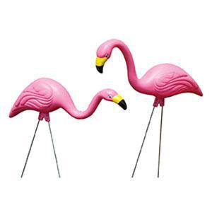 Bloem - Pink Flamingo 80920770