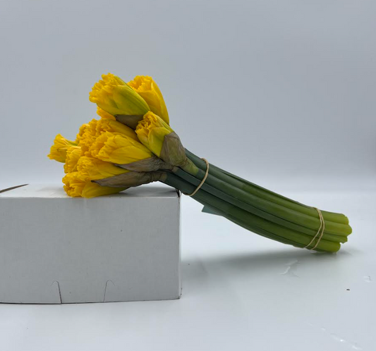 Daffodil Bouquet