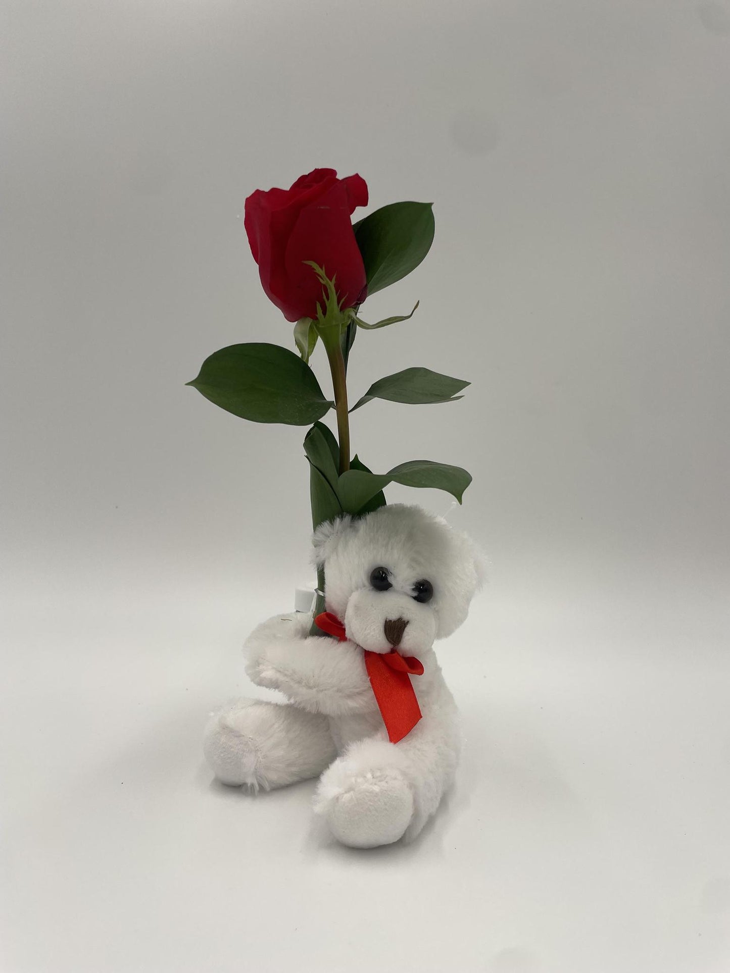 Single Red Rose with Clear Vase & Vase Hugging Bear