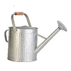 Panacea - 2 Gallon Vintage Galvanized Watering Can - 80161137