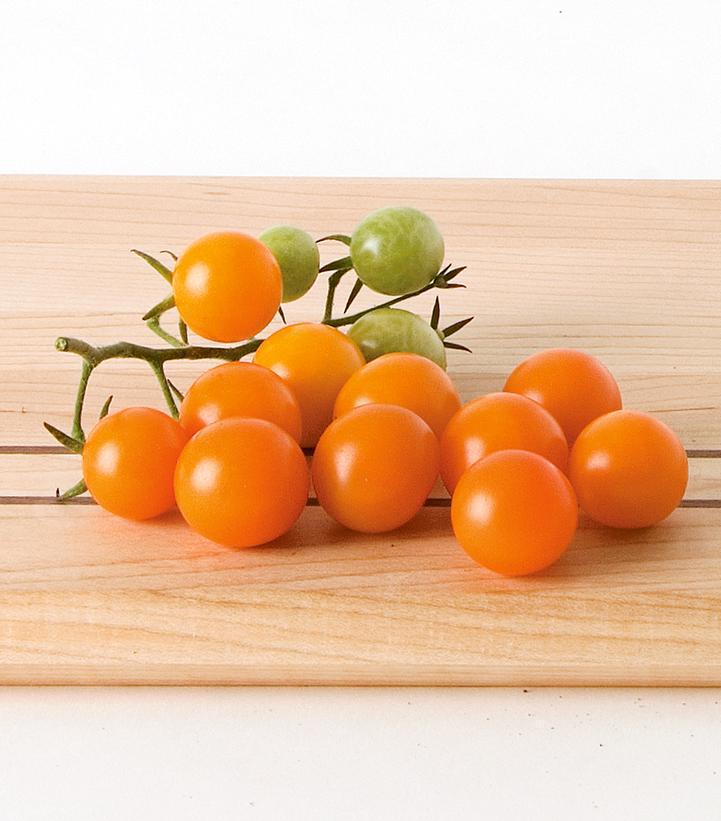 1G Tomato 'Sungold' Sungold Cherry Tomato 1004991