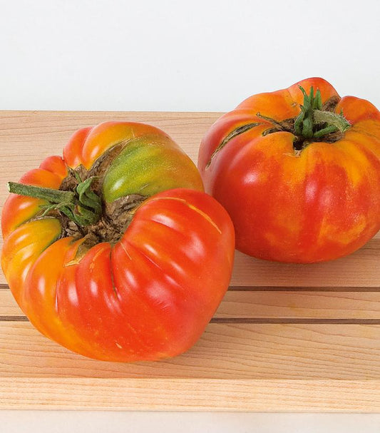 1G TOMATO 'STRIPED GERMAN' Striped German Tomato 1005004