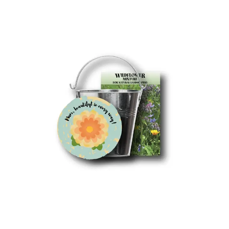 Imagine Design - Blooming Bundles Magnet and Seed Gift Pack - Chrysanthemum 10101