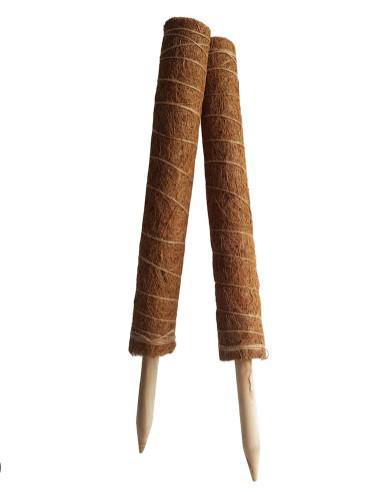 Stake Coconut - 80cm/31.5" Stackable 2 pack HG8409