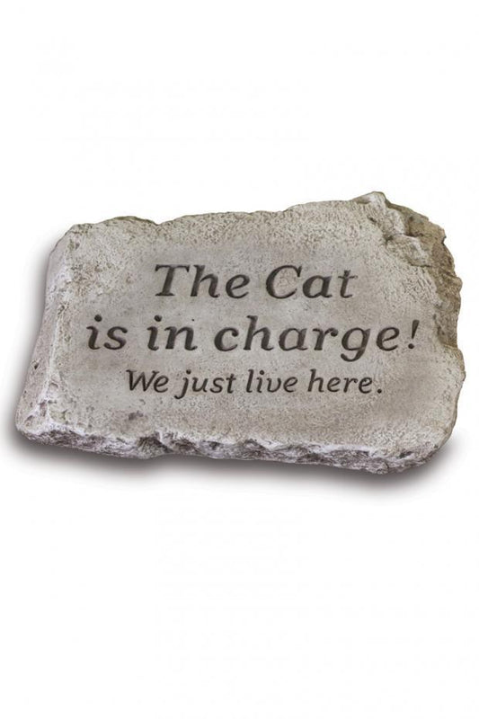 Massarelli's - 10" Stone The Cat Is In Charge 1846