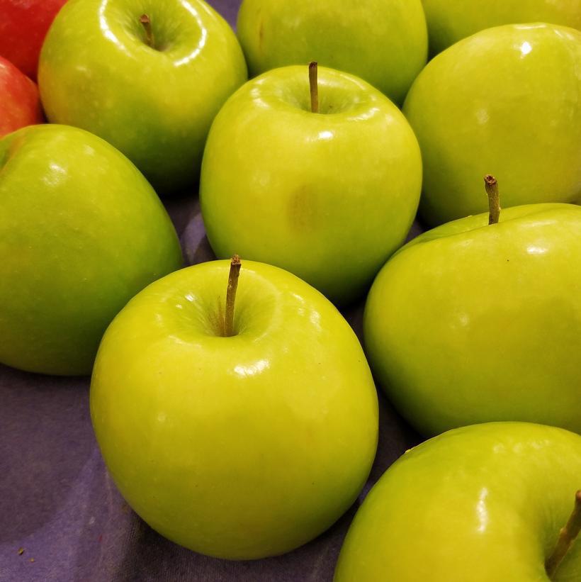 7G MALUS `GRANNY SMITH` Granny Smith Apple 1007882