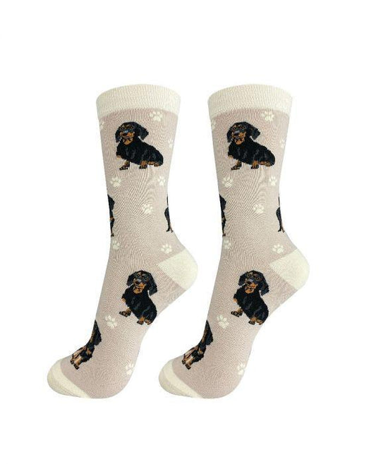 E&S Pets - Dachshund, Black Full Body Socks 800 FB -14