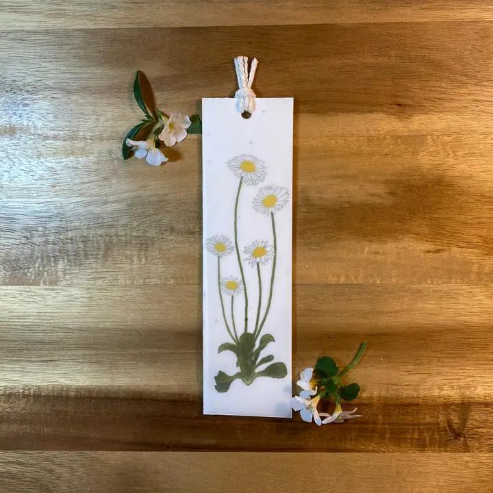 Raven's Edge Studio - Plantable Bookmark | Eco Bookmark | English Daisy | 2 in 1