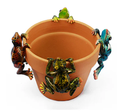 Land & Sea - 3.5" Medium Multicolor Frog - PH420