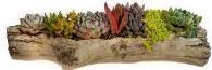 20" x 6" Log Planter Cement Log - 91245-HS