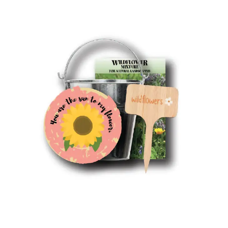 Imagine Design - Blooming Bundles Magnet and Seed Gift Pack - Sunflower 10106