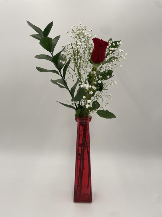 Tall Colored Vase with Single Red Rose