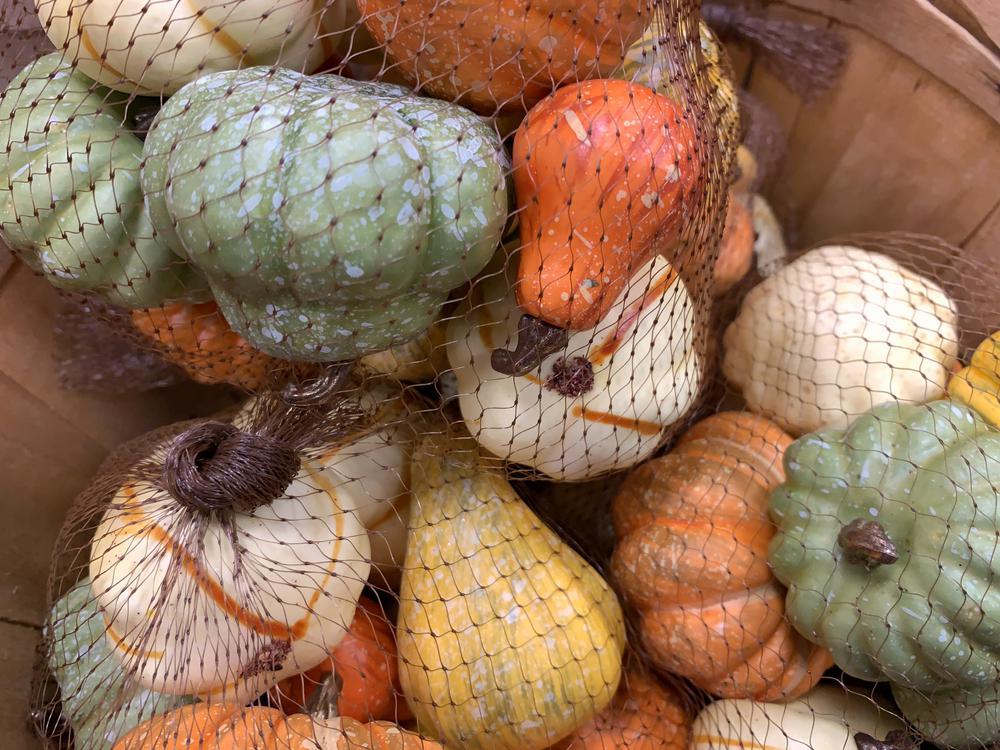 Bag of Mixed Gourds